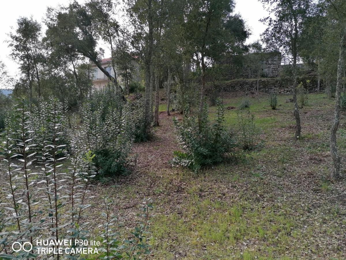 Willa Casa Douro Terrace Baião Zewnętrze zdjęcie