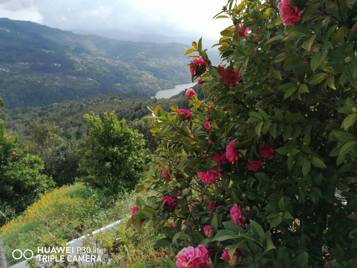 Willa Casa Douro Terrace Baião Zewnętrze zdjęcie